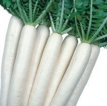 img-1: Дайкон Майноваз Саммер Крос F1 - ООО «Семена Тут»