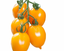 img-1: Томат Миньон F1 - ООО «Семена Тут»