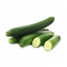 Огурец Камертон F1 - ООО «Семена Тут»