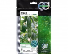 img-2: Огурец Раис F1 - ООО «Семена Тут»