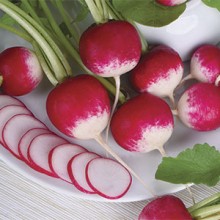 img-1: Редис Рекорд (фракция 3,0-4,0 мм) (инкруст. семена) - ООО «Семена Тут»