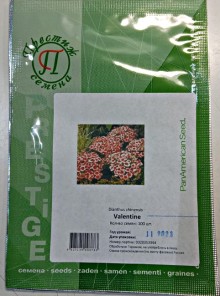 img-1: Гвоздика китайская Валентина [100 шт] - ООО «Семена Тут»