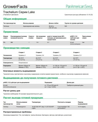 img-2: Трахелиум Лейк Мичиган Вайт [1000 драже] - ООО «Семена Тут»