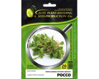 img-2: Цикорий листовой красный Россо МЗ - ООО «Семена Тут»