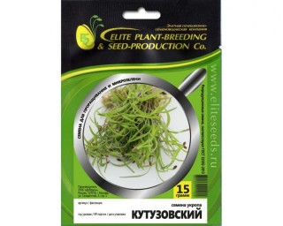 img-1: Укроп Кутузовский МЗ - ООО «Семена Тут»